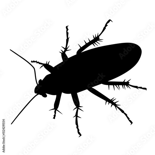 a black silhouette of an insect on a transparent background illustration black, bug, illustration, image, insect, silhouette , Generative art.