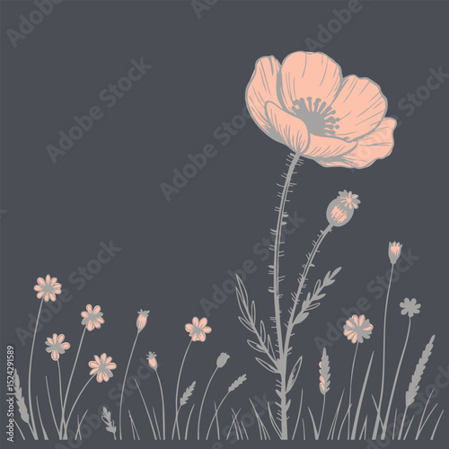 Beautiful illustration of large poppy flower alongside smaller wildflowers, set against dark background, creating serene and artistic vibe