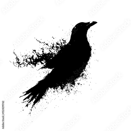 the black silhouette of a crow flying and splashing bird, black, crow, fly, raven, silhouette , Generative art.