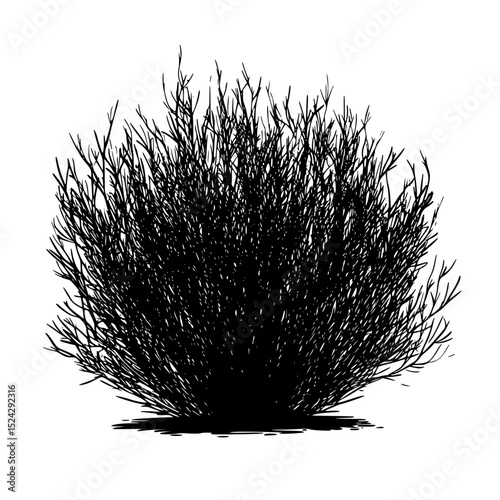 black silhouette of a bush with branches on a transparent background black, branch, bush, plant, shrub, silhouette , Generative art.