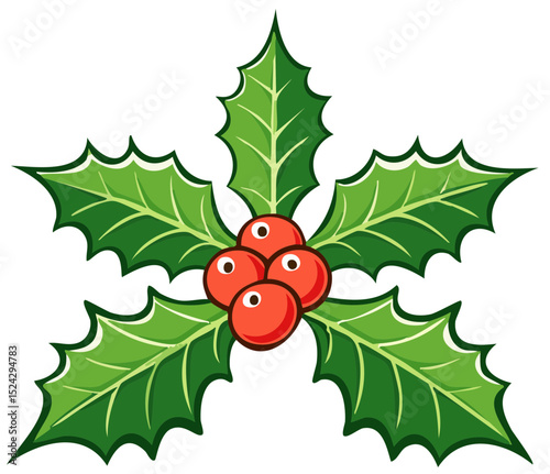 Holiday Holly Illustration