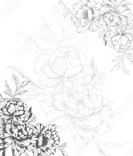 Peony Line Drawing. Trendy floral peony bouquets sketch. Botanical Line Art Peony Collection. Hand drawn line art peony flowers.  Black and white peony