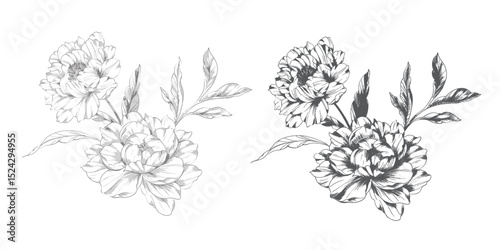 Peony Line Drawing. Trendy floral peony bouquets sketch. Botanical Line Art Peony Collection. Hand drawn line art peony flowers.  Black and white peony