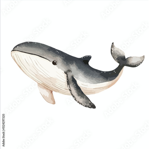Watercolor Humpback Whale with Detailed Texture and Gentle Shading