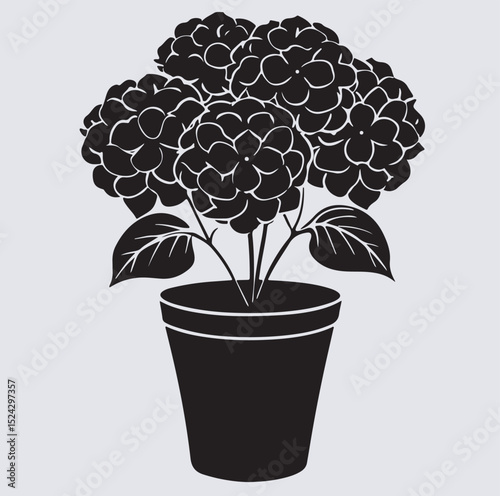 hydrangeas blooms in a rustic pot elegant flower silhouette vector art illustration, flower in pot