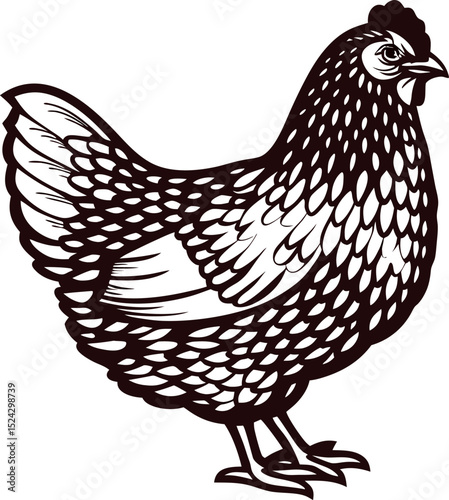 Detailed vintage drawing of a standing hen with intricate feather pattern isolated on white background