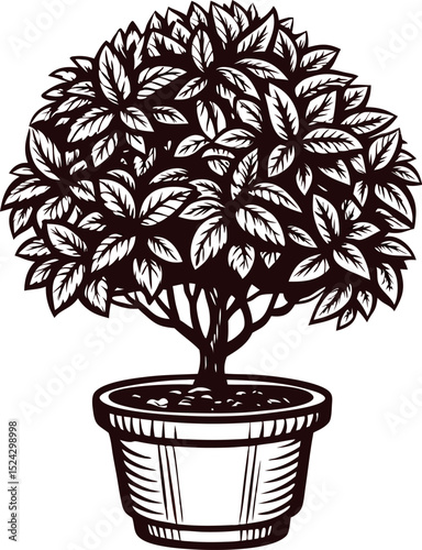 Hand drawn potted ornamental bush with dense foliage isolated on white background illustration