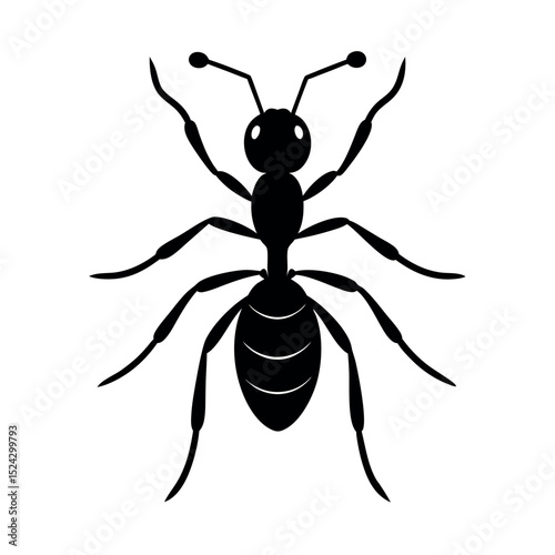 Ant vector silhouette