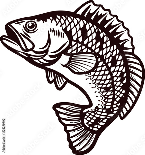 Detailed ink drawing of jumping bass fish with open mouth and spread fins isolated on white background