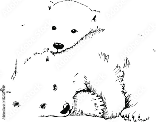 Two Polar Bear Cubs Cuddling Black and White Line Art