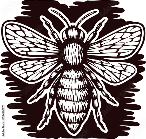 Detailed hand drawn honey bee engraved illustration with textured wings and body on dark background
