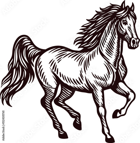 Vintage engraved illustration of a galloping horse with detailed mane and tail on white background