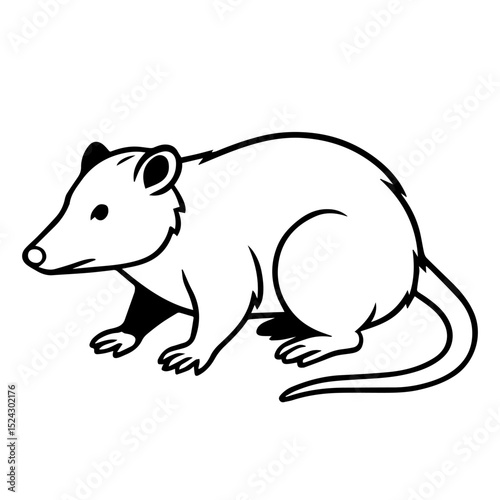 possum vector realistic line icon on white background
Vector line icon animal, wildlife