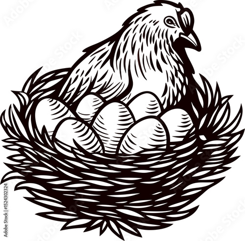 Hen sitting on nest with eggs, vintage black and white illustration of chicken hatching eggs in straw nest, detailed line art
