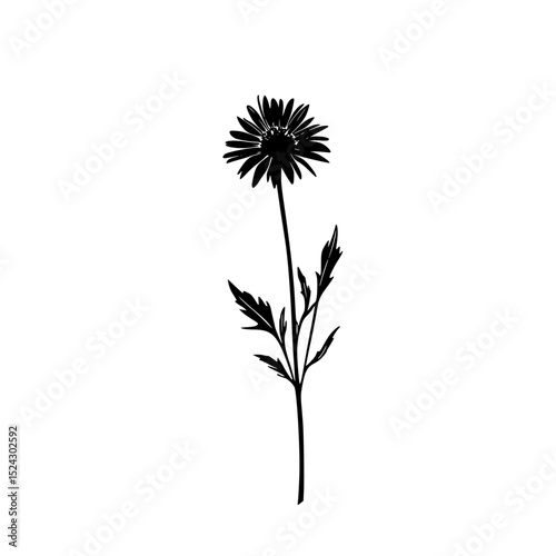 a black and white icon of a flower black, flower, icon, silhouette , Generative art.