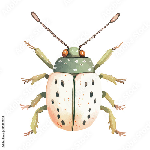 Watercolor Illustration of a Cute Spotted Beetle