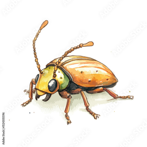 Watercolor Illustration of a Detailed Beetle with Orange and Yellow Hues