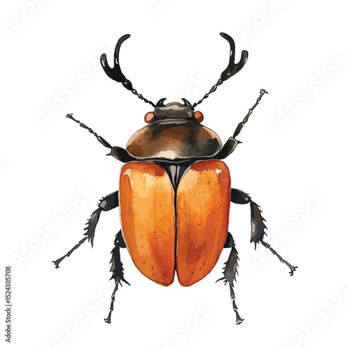 Watercolor Illustration of a Detailed Beetle with Unique Horns and Orange Elytra