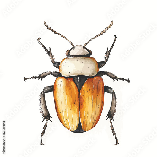 Watercolor Illustration of a Detailed Orange and White Beetle with Segmented Antennae