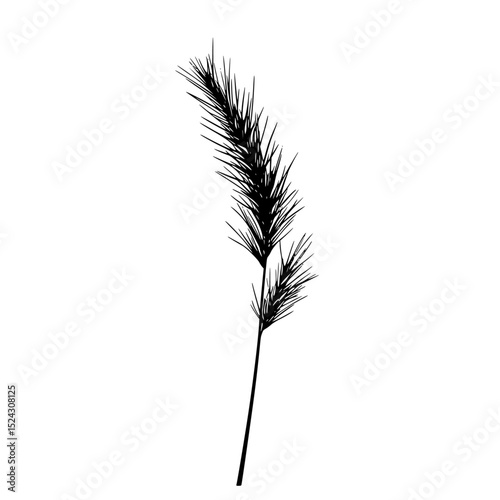 a black and white silhouette of a branch black, blade, branch, silhouette , Generative art.