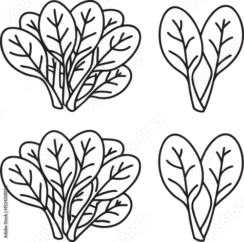 Spinach Leaf Bunch Vector in Clean Flat Design for Organic Vegetable and Healthy Cooking Icons