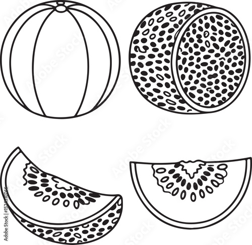 Muskmelon Slice Vector with Netted Skin and Orange Flesh for Healthy Tropical Fruit Themes