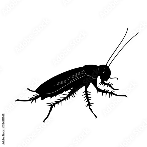 black silhouette of an insect on a transparent background illustration black, icon, illustration, image, insect, silhouette , Generative art.