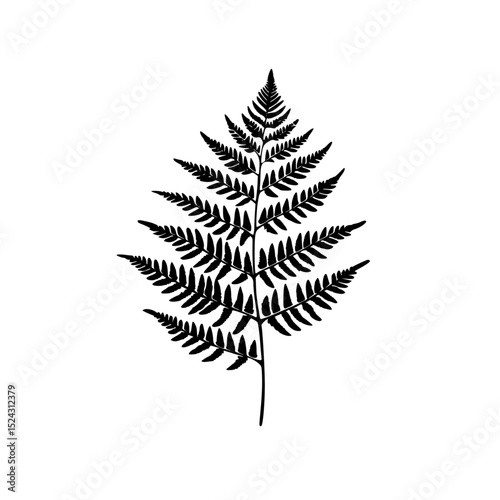 a black silhouette of a branch of a fern black, branch, fern, leaf, plant, silhouette , Generative art.
