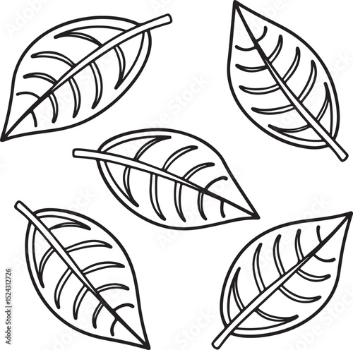 Rubber Plant Leaf Vector with Glossy Surface and Elliptical Shape for Nature and Home Decor