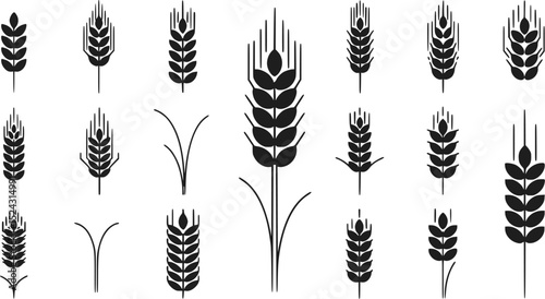 Wheat Icons Barley Symbols Grain Graphic Set Agriculture Vector Cereal