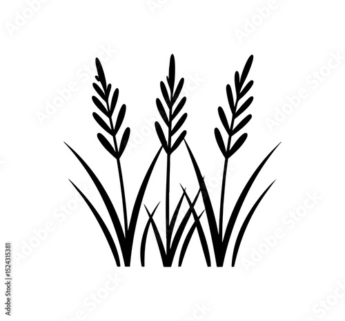 Kwitnąca trawa ozdobna kontury ikona