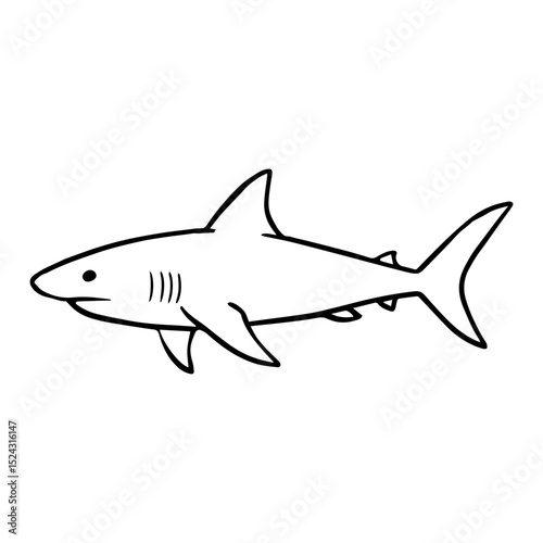 shark vector realistic line icon on white background
Vector line icon animal, wildlife