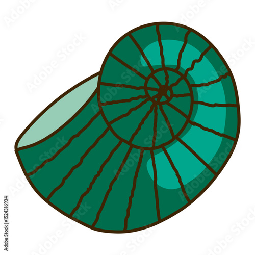 Nautilus, snail seashell hand drawn illustration, isolated vector. Line art style design. Summer clip art, seasonal element, print. Holidays, vacations, beach, marine life, aquatic animal