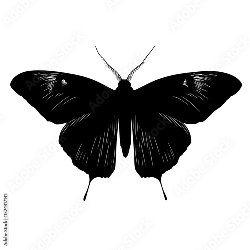 a black and white silhouette of a butterfly black, butterfly, moth, silhouette, tattoo, wing , Generative art.