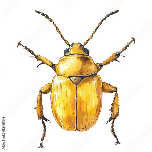 Watercolor Illustration of a Detailed Yellow Beetle with Extended Antennae