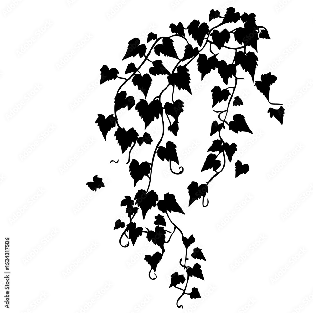 Naklejka premium a black and white silhouette of a branch of ivy black, branch, flower, ivy, silhouette, vine, wall , Generative art.