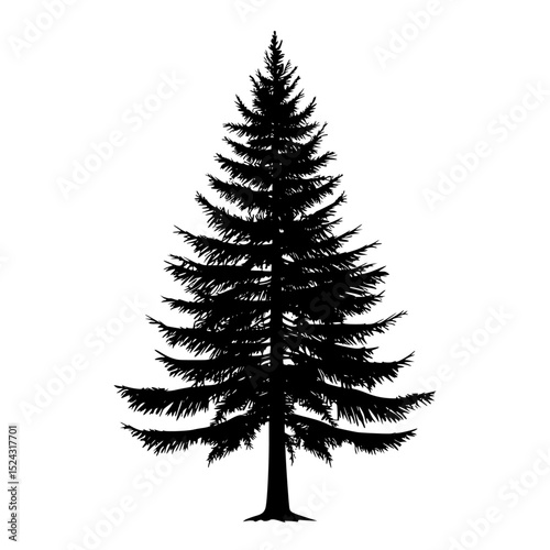 a black silhouette of a pine tree on a transparent background black, christmas tree, fir tree, pine tree, silhouette, tree , Generative art.