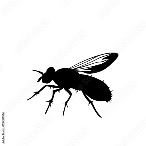 a black silhouette of a fly on a transparent background black, fly, icon, illustration, insect, silhouette, wing , Generative art.