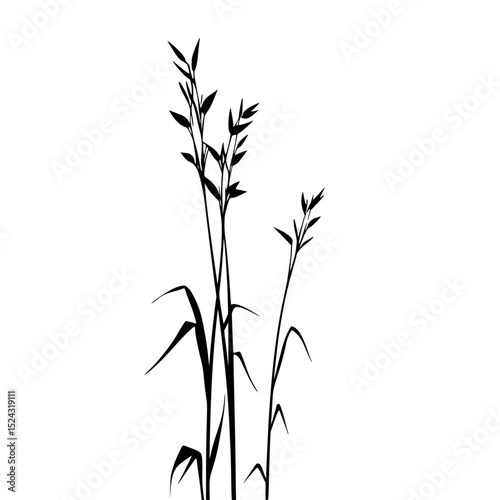 the black silhouette of the top of the blades of grass or reed bamboo, black, blade, branch, drawing, grass, plant, reed, silhouette, top , Generative art.