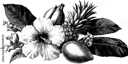 Tropical fruit and flower engraving for botanical design and decor
