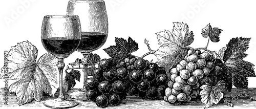 Engraved vineyard harvest with grapes and wine glasses for design and decor