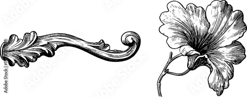 Art nouveau ornamental design elements featuring intricate floral and leaf motifs for decorative use