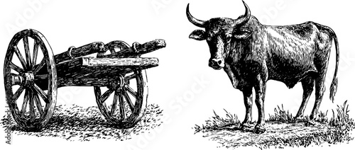 Engraved illustration set featuring bullock cart and ox on rustic landscape