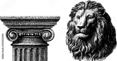 Classical museum engraving set featuring ionic column and lion head artistic design