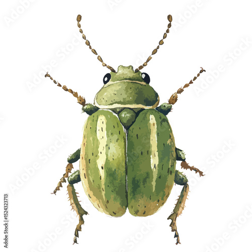 Watercolor Illustration of a Green Beetle with Detailed Antennae and Legs (1)