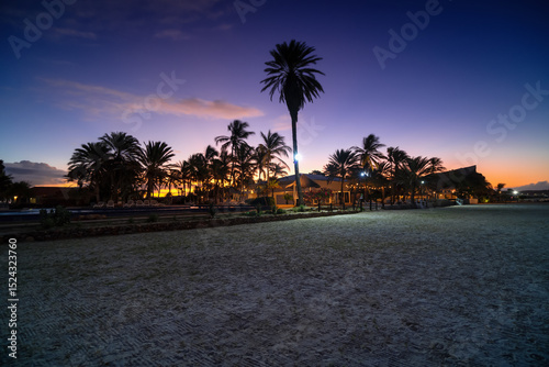 Fototapeta Naklejka Na Ścianę i Meble -  Fantastic view of purple sky over palm trees. Tropical beach landscape on Coche Island in Venezuela. Exotic coast. Coche island, Venezuela.
