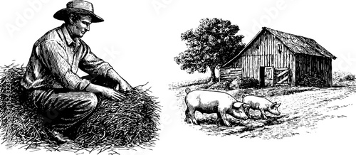 Vintage farming scene with farmer feeding pigs and rustic barn illustration