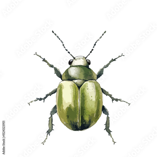 Watercolor Illustration of a Green Beetle with Detailed Antennae and Legs