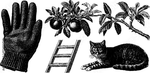 Vintage farm life engraving with glove, apple branch, ladder, and cat illustration for rustic decor