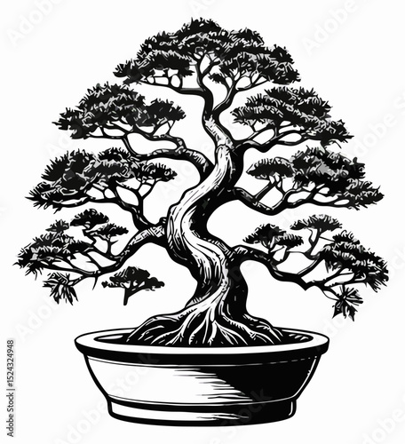 Black and White Bonsai Tree Drawing, Ink Illustration